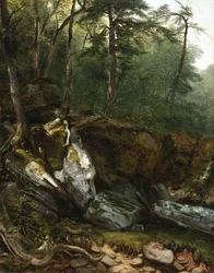 Studie aus der Natur: Felsen und Bäume in den Catskills, N.Y., 1856